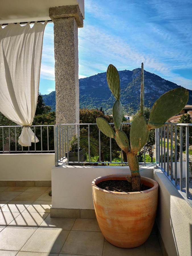 B&B Limone Сан-Теодоро Екстер'єр фото